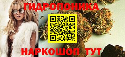 крисы Кинель