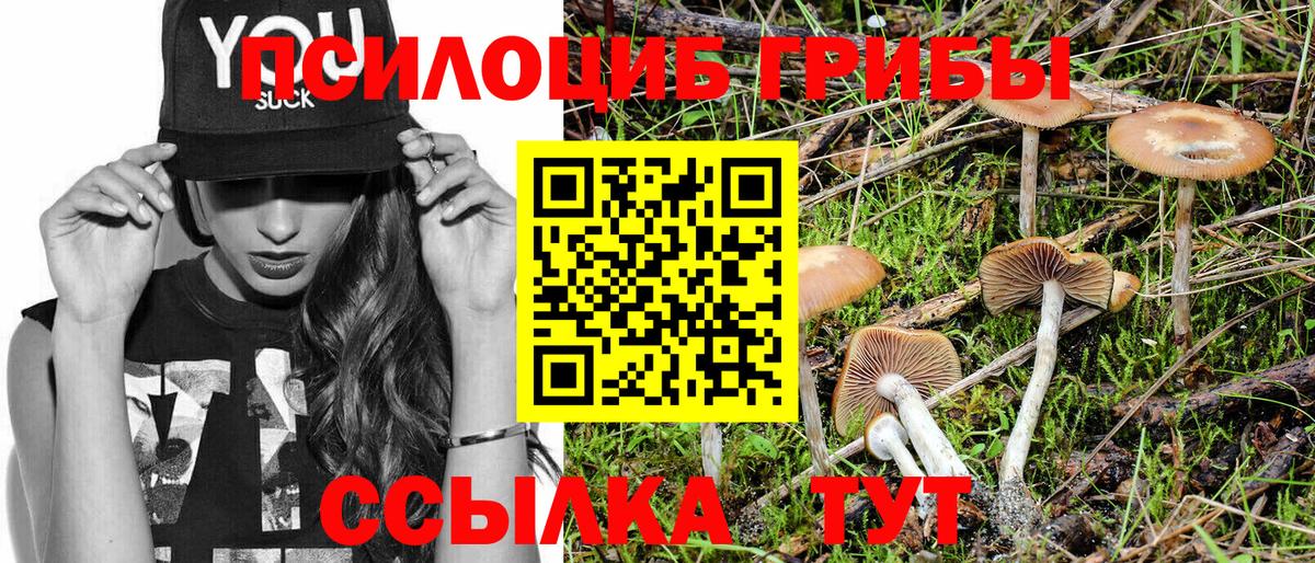 Ярославль  Галлюциногенные грибы ЛСД  Вход с VPN 